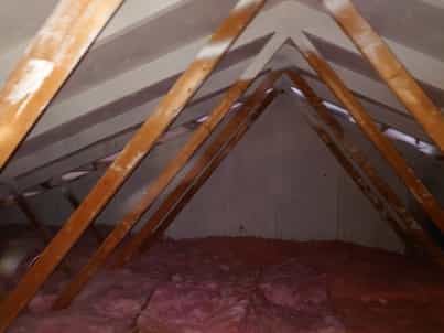 Mold growth removed from attic rafters and braces and white sealant applied in attic.