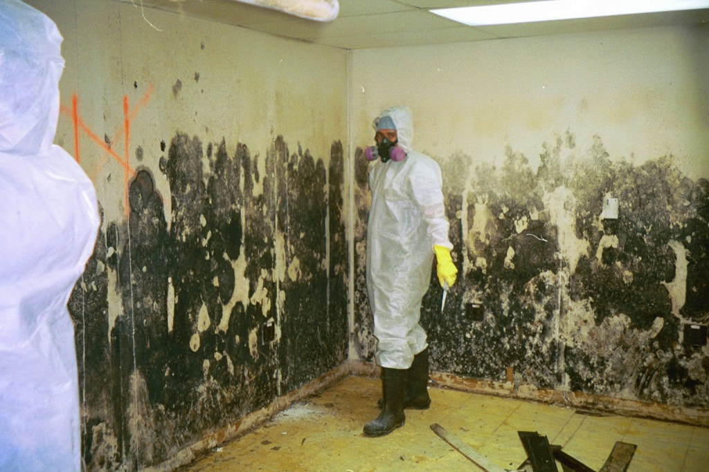 Milton Mold Cleanup